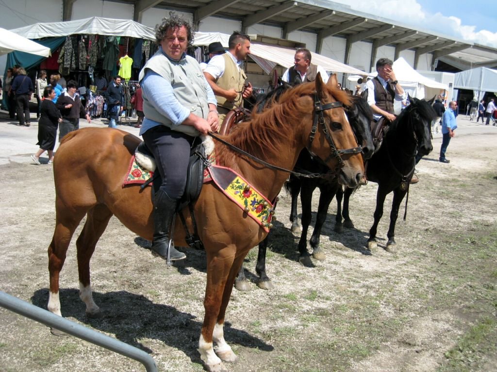 Il veterinario Olindo Pinciaroli, promotore della manifestazione equina all'interno della Raci