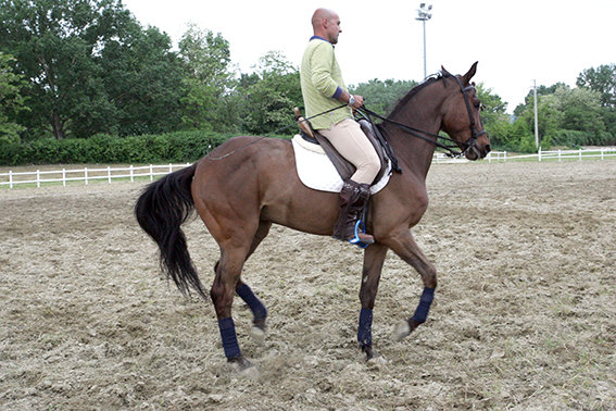Raci_Inaugurazione_2013 (19)