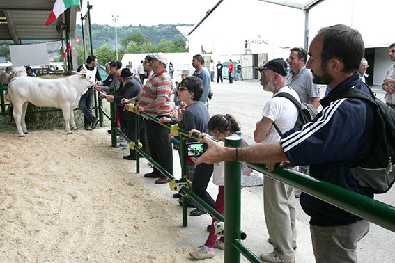 Raci_Inaugurazione_2013 (22)