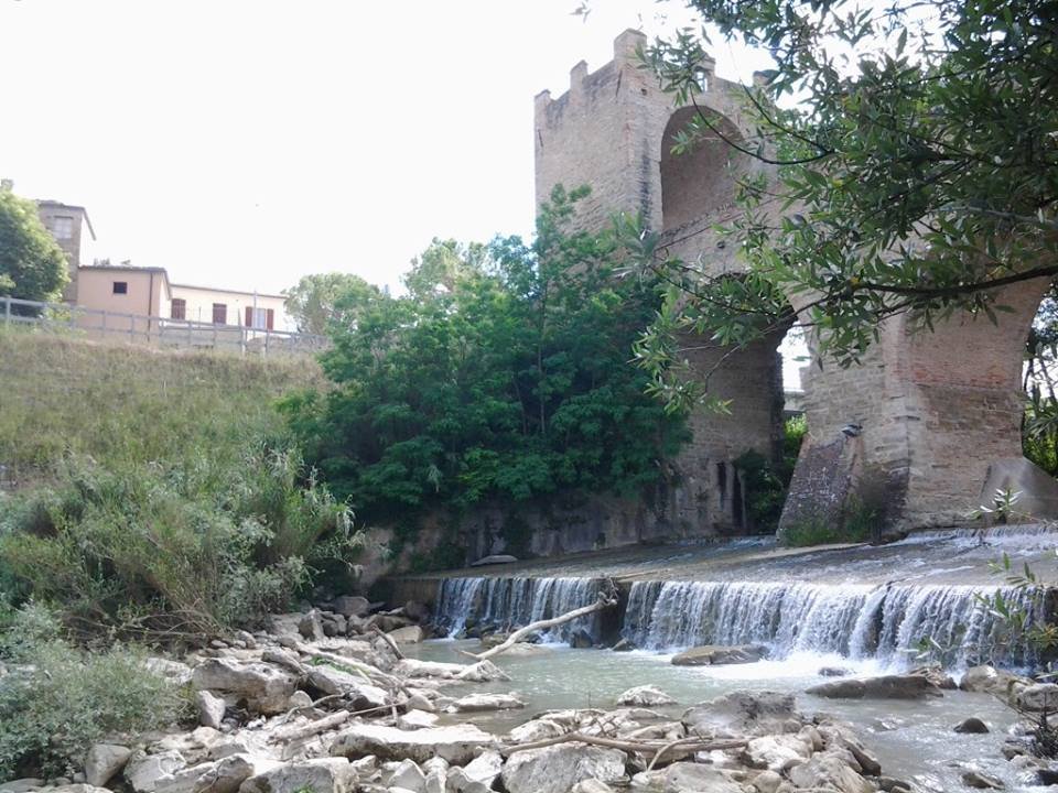 Ponte-1
