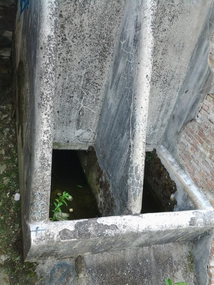 Ponte-8