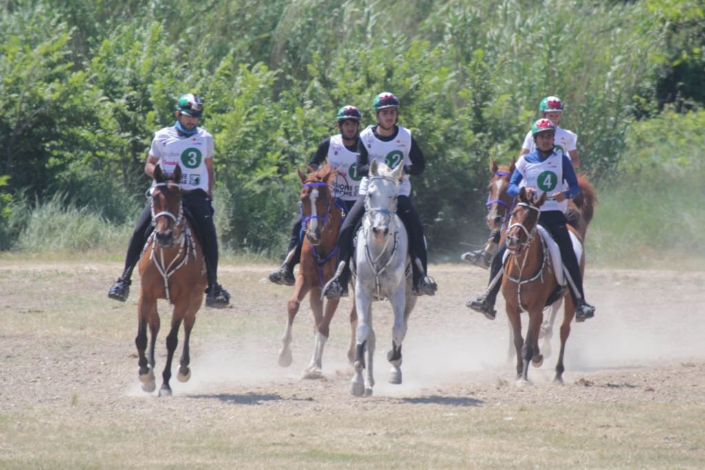 endurance4