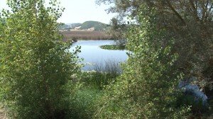 Il lago di Colfiorito