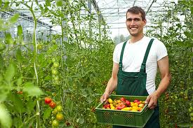 Un giovane agricoltore