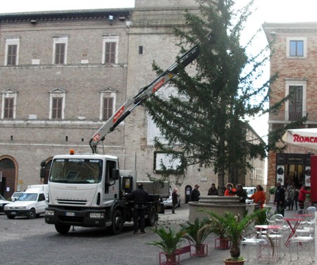 L'allestimento dell'albero in piazza della Libertà