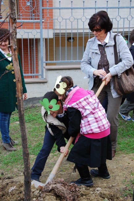 Bambini piantano alberi (foto d'archivio)