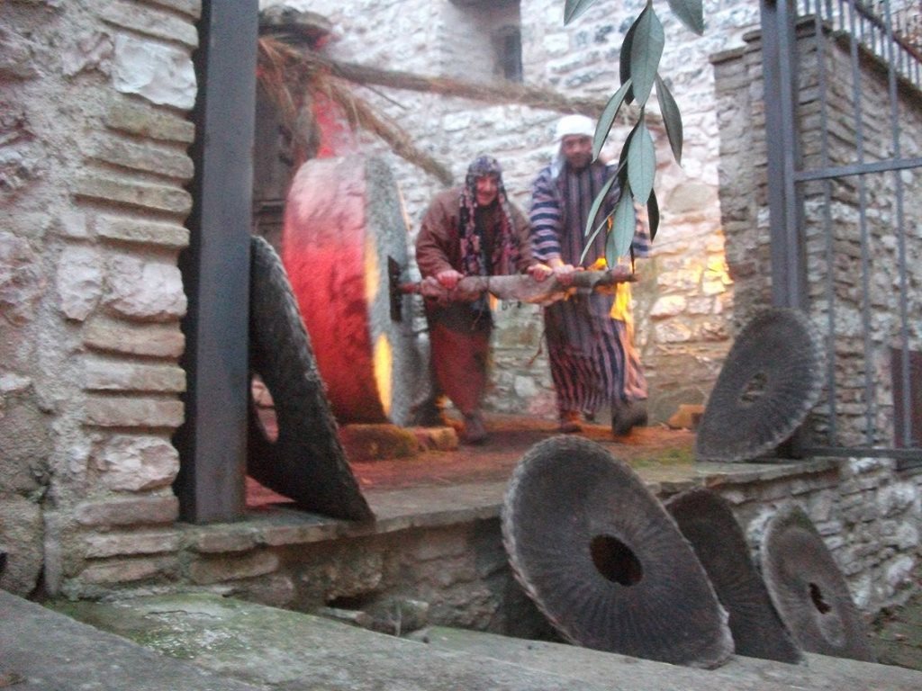 Pievefavera_olio