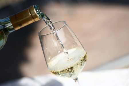 verdicchio