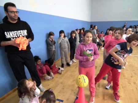 Basket Rosa1