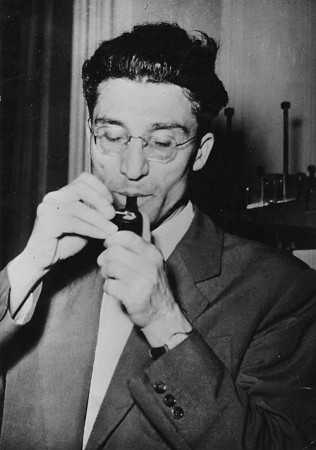 pavese