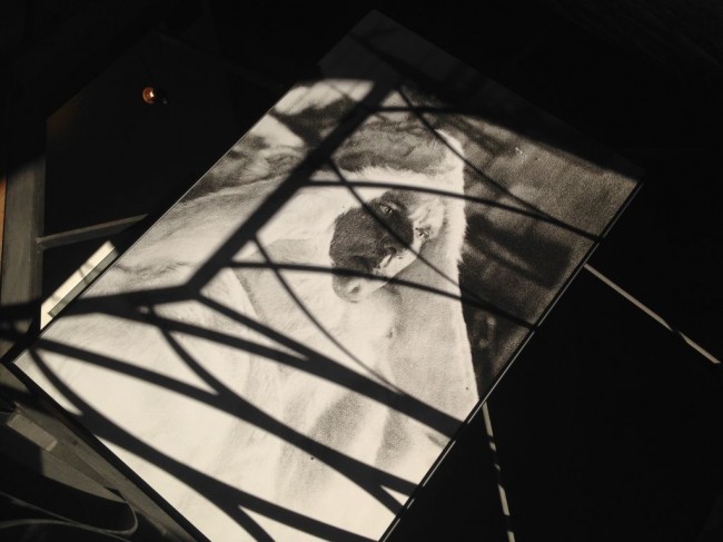 inaugurazione_mostra_gulag (19)