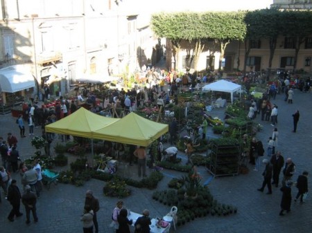 Civitanova Alta in fiore