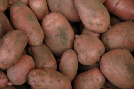 patata rossa