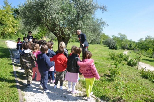 Arte e scuola
