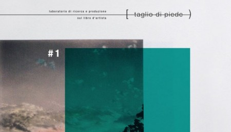 l_fld21_taglio