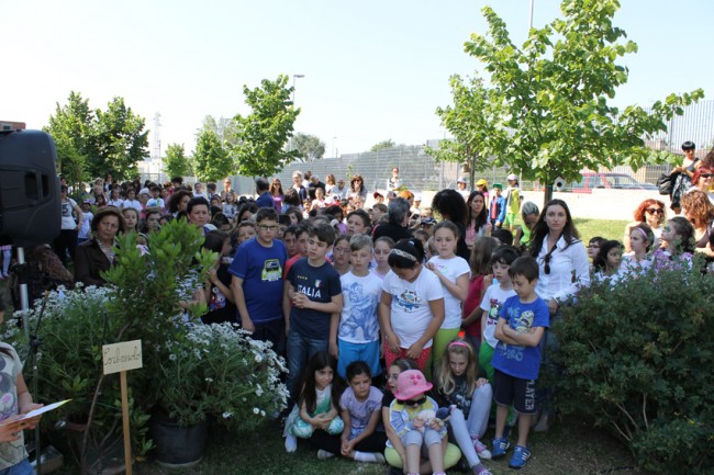 orto botanico (31)
