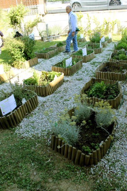 orto botanico (8)