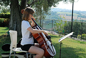 violoncello-small
