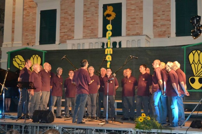 apimarche (3)