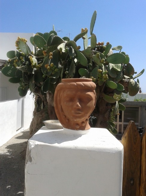 panarea_paola grandinetti