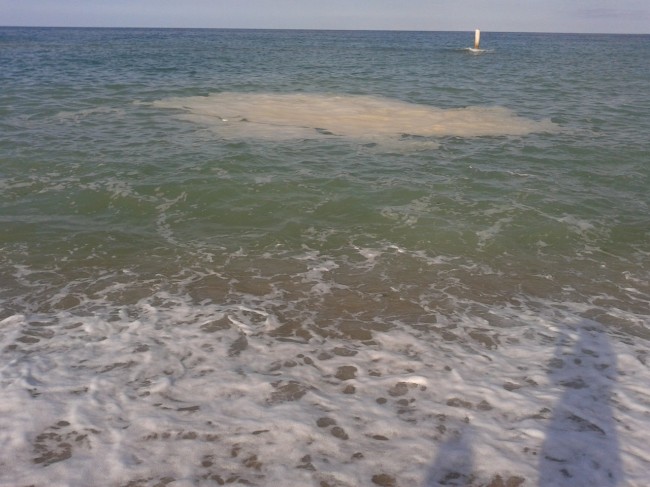 porto recanati_Paola Grandinetti (2)