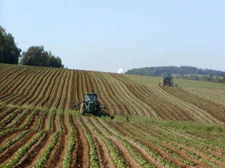 terreno agricolo
