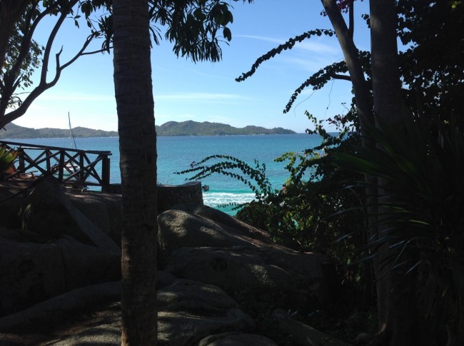 Chauve Souris Relais, Seychelles_ andrea bisbocci (1)