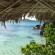 Chauve Souris Relais, Seychelles_ andrea bisbocci (5)
