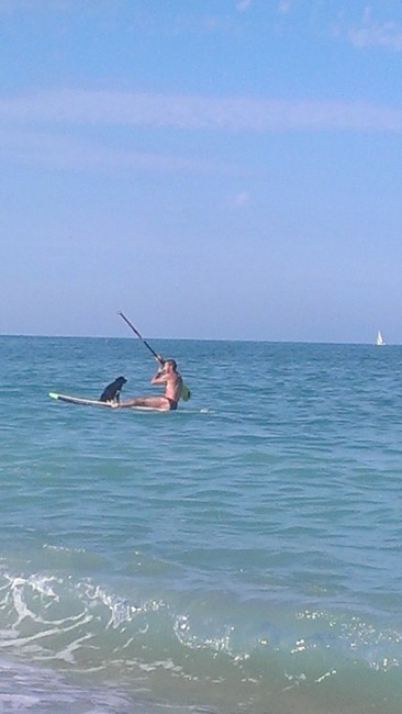 "Destr!-Sinistr!-Destr!-Sinistr!-Bauuuuu! Relax e amicizia su tavola da surf in Civitanova Marche", mandata da Gabriella e Desy