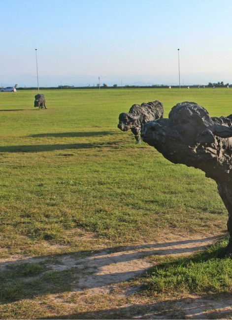Invasione di bisonti - Ravenna nei pressi di Sant' Apollinare in Classe