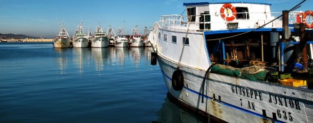 Porto_di_Civitanova_Marche,_pescherecci_in_sosta