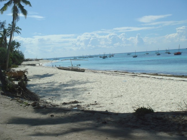 Vacanze a Zanzibar per Mauro Paoli
