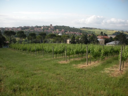 panorama scuola agraria
