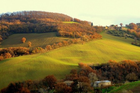 Paesaggio San Severino (Alesi)