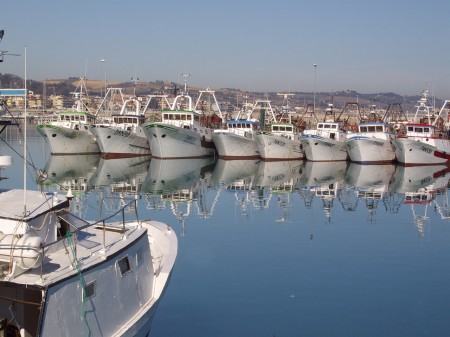 I pescherecci al porto di Civitanova