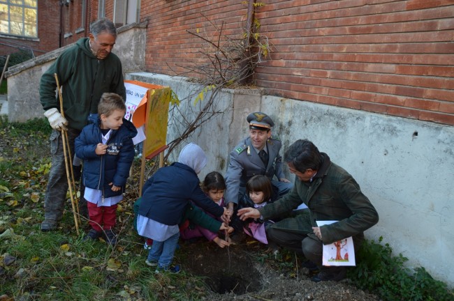 festa dell'albero (2)