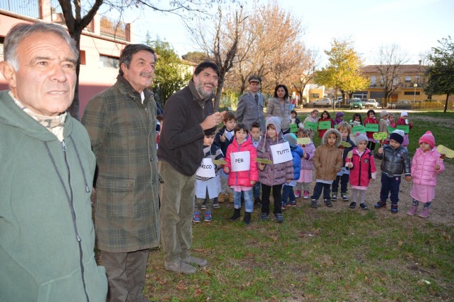 festa dell'albero (4)
