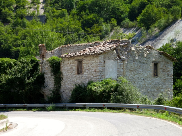 fiungo