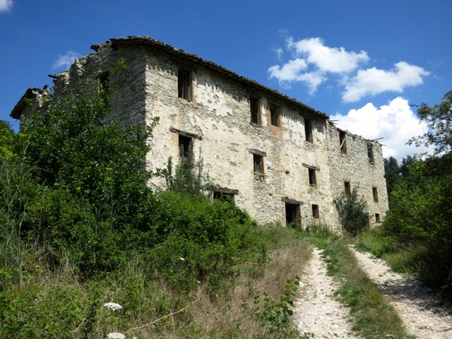 fiungo