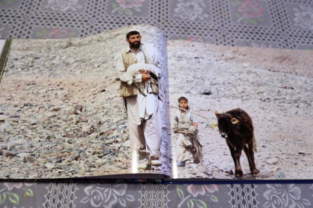 Afghanistan libro Picchio 1