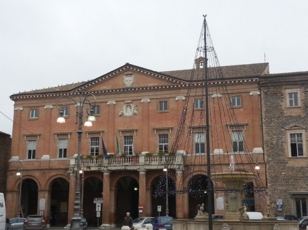 L'albero di Matelica