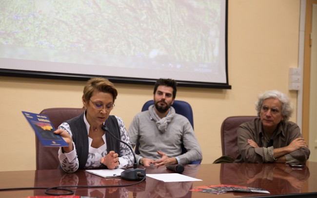 paolaolmi_massa_distefano