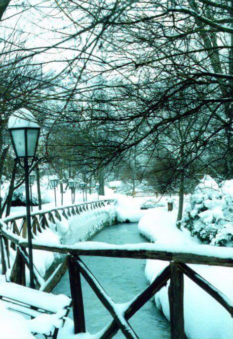 neve Sefro di Jessica Ferrucci