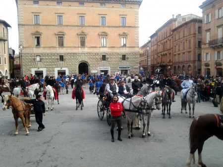 benedizione3-animali-2015