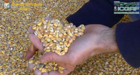 False granaglie bio con ogm,Gdf e frodi arrestano 9 persone