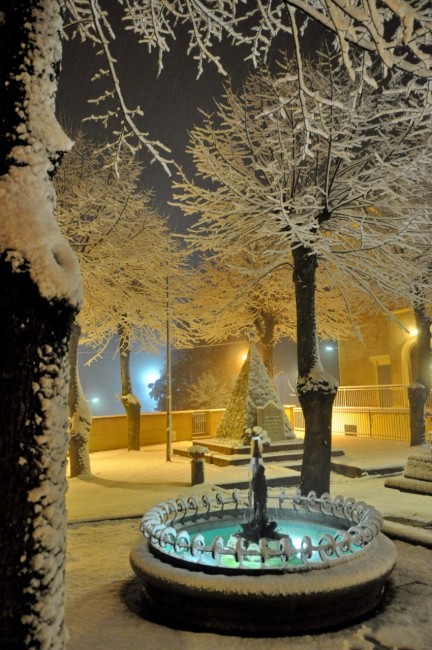Colmurano i giardini 08.02.2015 _