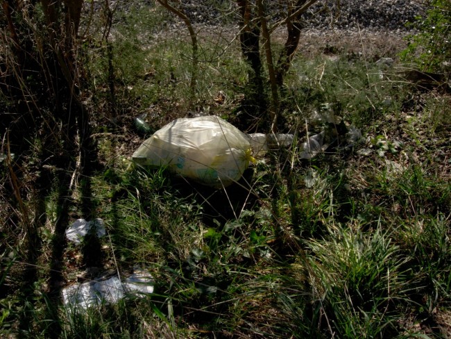 Discarica San Severino (2)