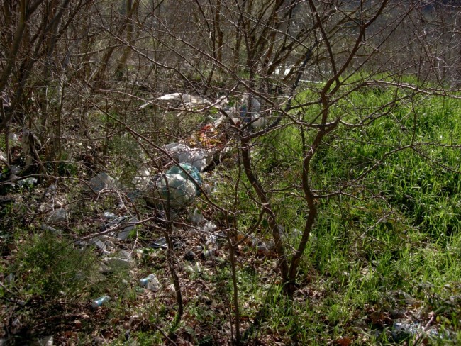 Discarica San Severino 6 (1)