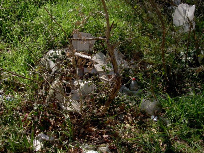 Discarica San Severino 6 (2)