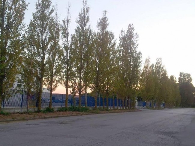 Uno scorcio del viale su cui si affaccia la Khai
